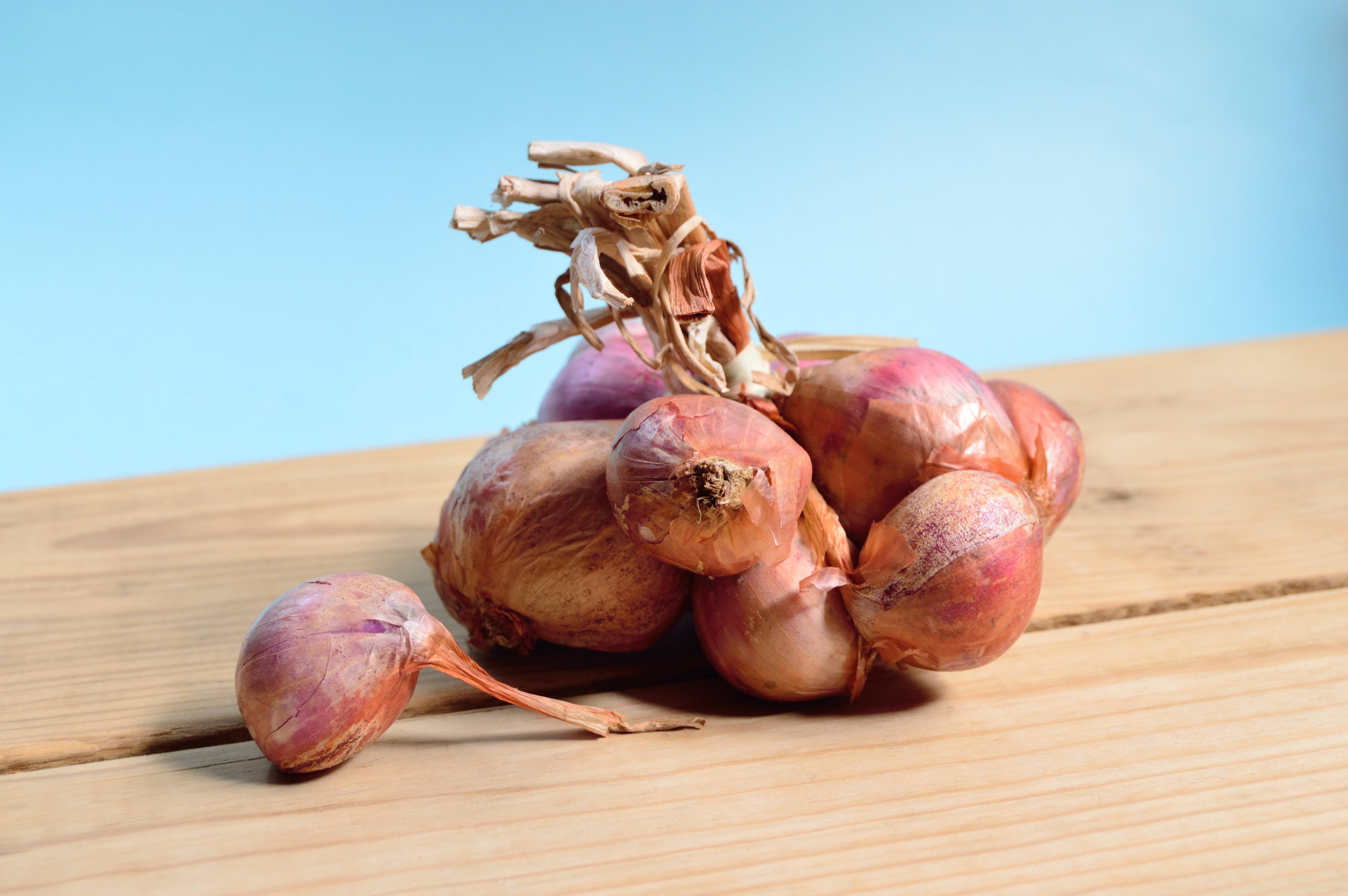 Red and white onions 